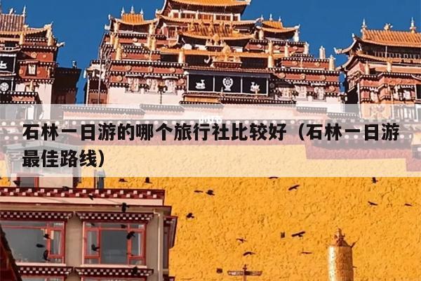 石林一日游的哪个旅行社比较好（石林一日游最佳路线）