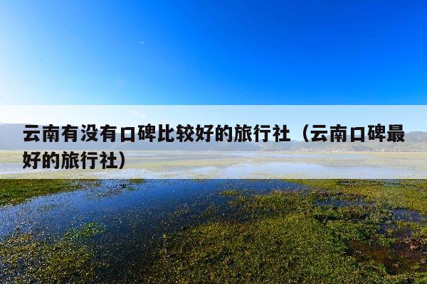 云南有没有口碑比较好的旅行社（云南口碑最好的旅行社）