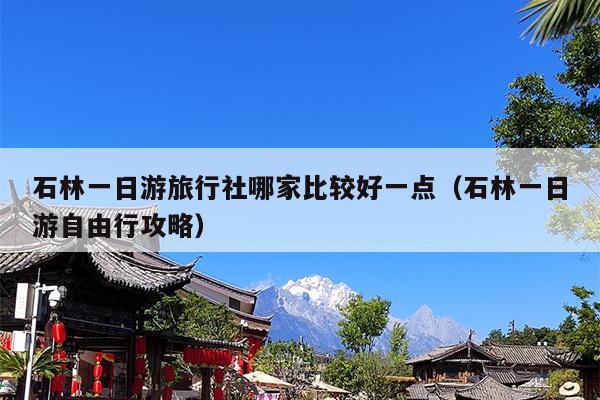 石林一日游旅行社哪家比较好一点（石林一日游自由行攻略）