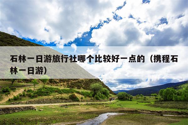 石林一日游旅行社哪个比较好一点的（携程石林一日游）