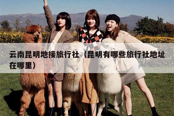 云南昆明地接旅行社（昆明有哪些旅行社地址在哪里）
