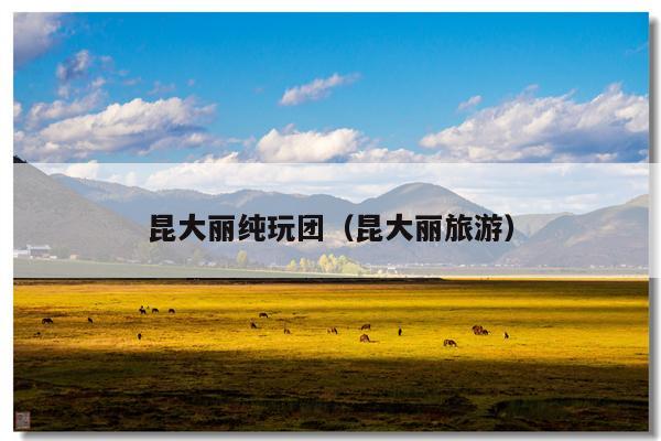 昆大丽纯玩团（昆大丽旅游）