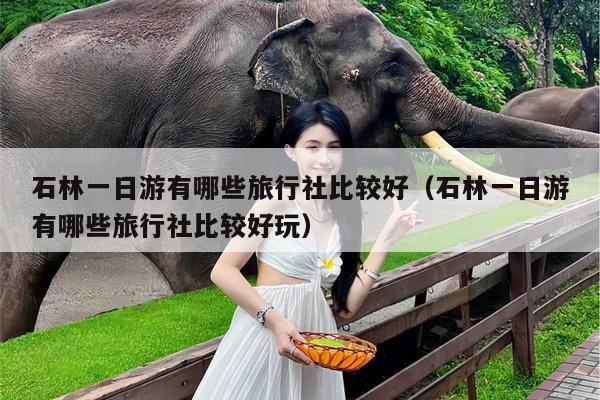 石林一日游有哪些旅行社比较好（石林一日游有哪些旅行社比较好玩）
