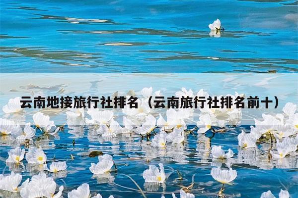 云南地接旅行社排名（云南旅行社排名前十）