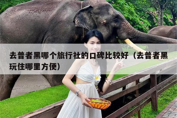 去普者黑哪个旅行社的口碑比较好（去普者黑玩住哪里方便）