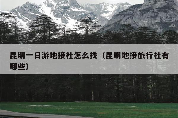 昆明一日游地接社怎么找（昆明地接旅行社有哪些）