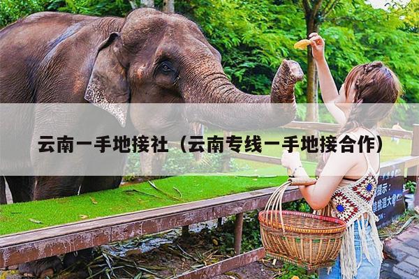 云南一手地接社（云南专线一手地接合作）