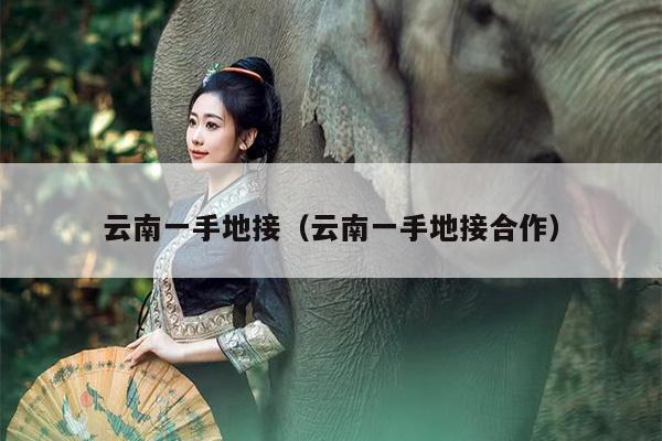云南一手地接（云南一手地接合作）