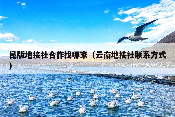 昆版地接社合作找哪家（云南地接社联系方式）