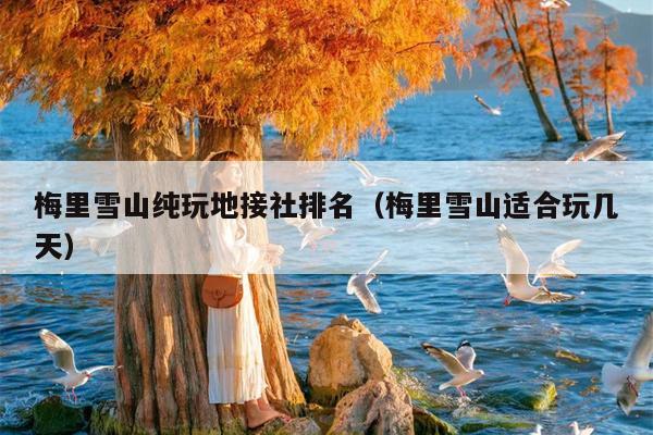 梅里雪山纯玩地接社排名（梅里雪山适合玩几天）