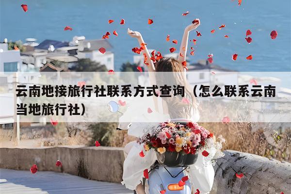 云南地接旅行社联系方式查询（怎么联系云南当地旅行社）