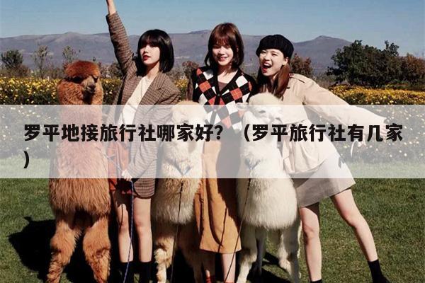 罗平地接旅行社哪家好？（罗平旅行社有几家）