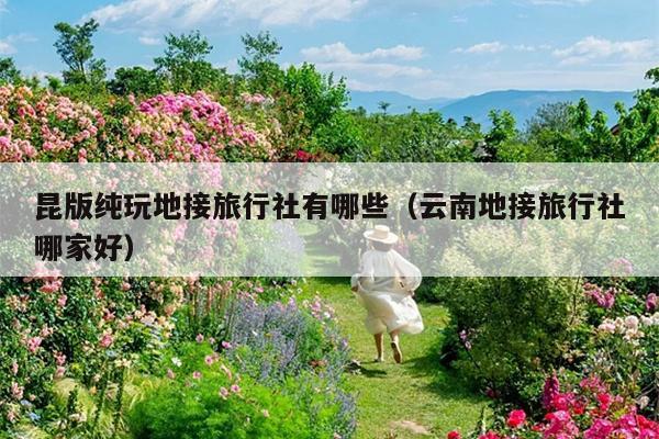 昆版纯玩地接旅行社有哪些（云南地接旅行社哪家好）