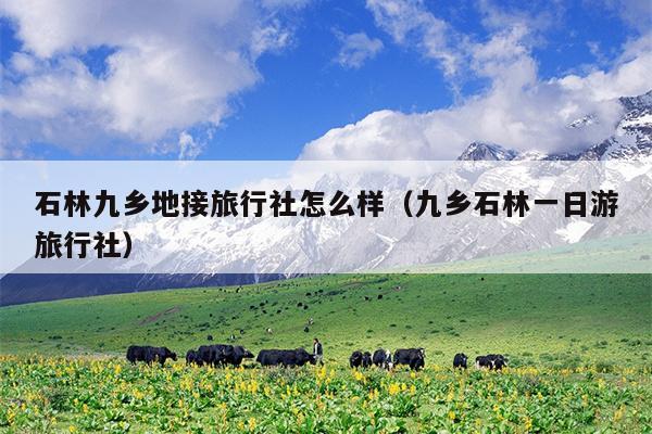 石林九乡地接旅行社怎么样（九乡石林一日游旅行社）