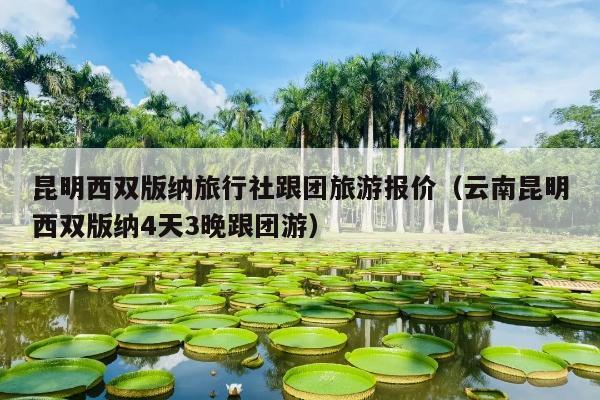 昆明西双版纳旅行社跟团旅游报价（云南昆明西双版纳4天3晚跟团游）