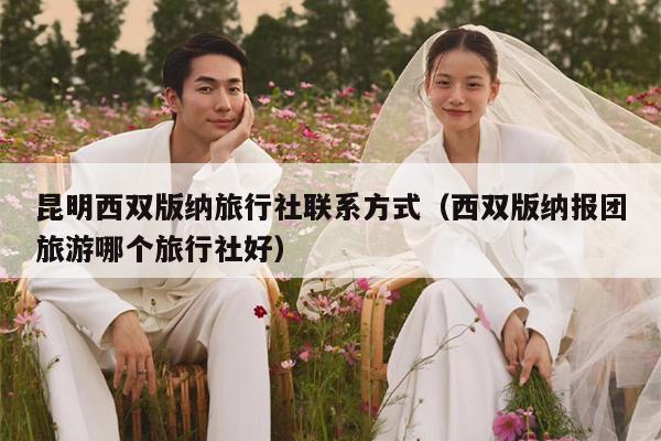 昆明西双版纳旅行社联系方式（西双版纳报团旅游哪个旅行社好）