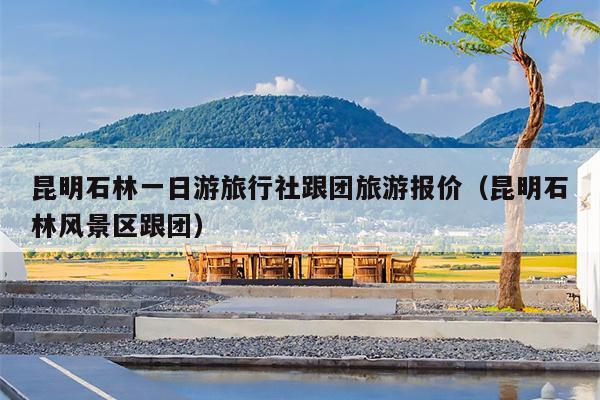 昆明石林一日游旅行社跟团旅游报价（昆明石林风景区跟团）