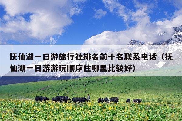 抚仙湖一日游旅行社排名前十名联系电话（抚仙湖一日游游玩顺序住哪里比较好）