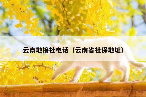云南地接社电话(云南省社保地址)