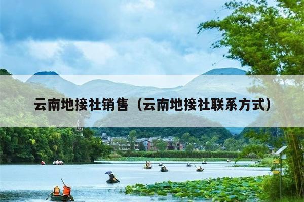 云南地接社销售（云南地接社联系方式）