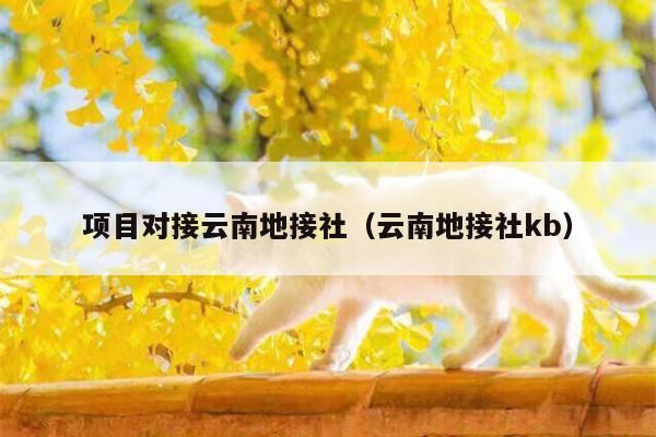 项目对接云南地接社(云南地接社kb)