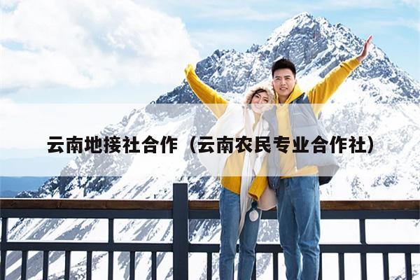 云南地接社合作（云南农民专业合作社）