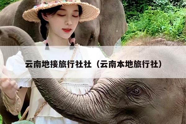 云南地接旅行社社（云南本地旅行社）