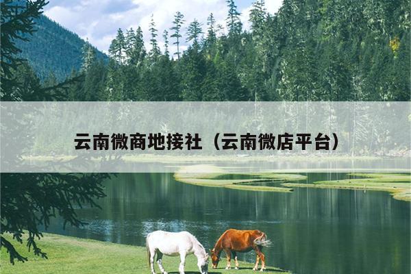 云南微商地接社(云南微店平台)