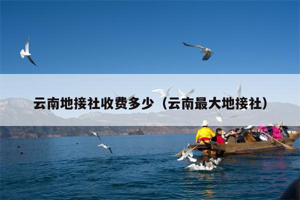 云南地接社收费多少(云南最大地接社)