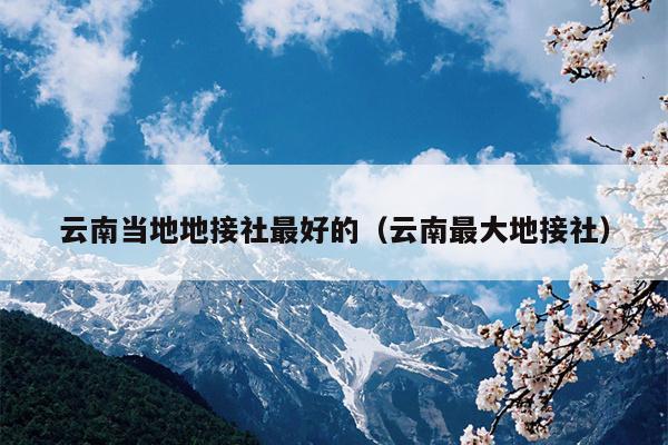 云南当地地接社最好的(云南最大地接社)