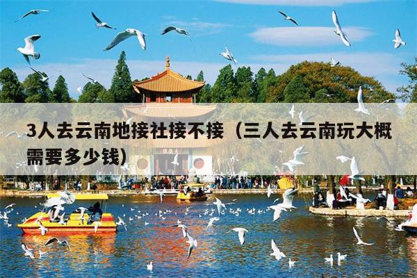 3人去云南地接社接不接(三人去云南玩大概需要多少钱)