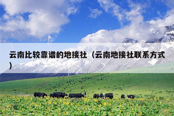 云南比较靠谱的地接社(云南地接社联系方式)