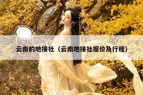 云南的地接社（云南地接社报价及行程）
