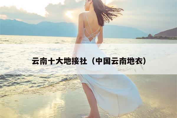 云南十大地接社（中国云南地衣）
