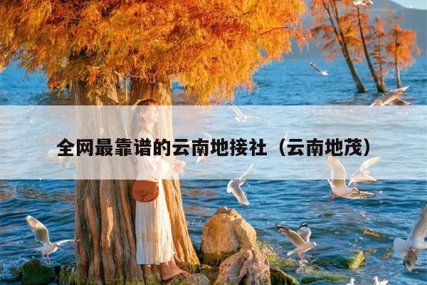全网最靠谱的云南地接社（云南地茂）