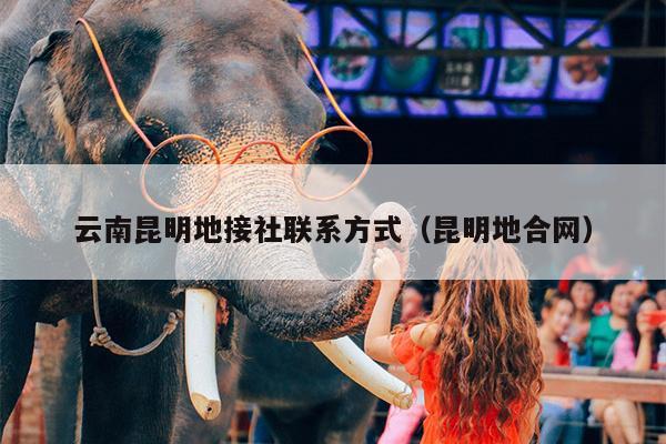 云南昆明地接社联系方式（昆明地合网）
