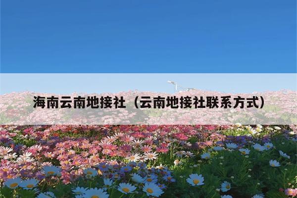 海南云南地接社（云南地接社联系方式）