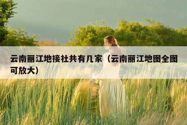 云南丽江地接社共有几家（云南丽江地图全图可放大）