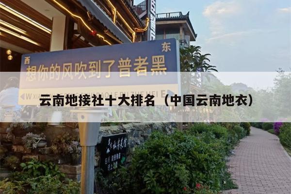 云南地接社十大排名（中国云南地衣）