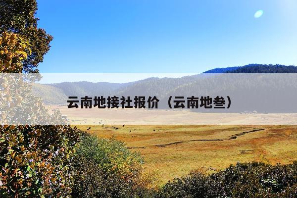 云南地接社报价（云南地叁）