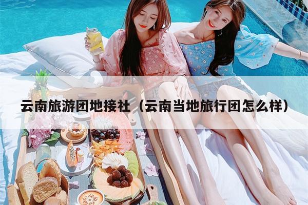 云南旅游团地接社（云南当地旅行团怎么样）