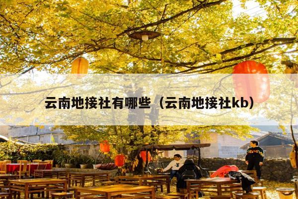 云南地接社有哪些（云南地接社kb）