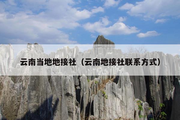 云南当地地接社(云南地接社联系方式)