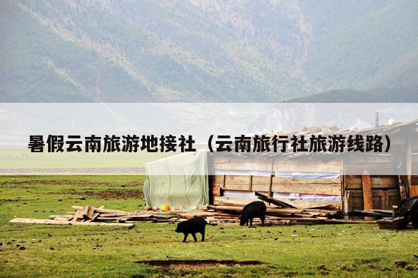 暑假云南旅游地接社（云南旅行社旅游线路）