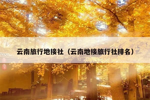 云南旅行地接社（云南地接旅行社排名）