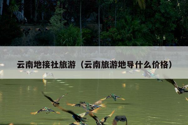 云南地接社旅游（云南旅游地导什么价格）
