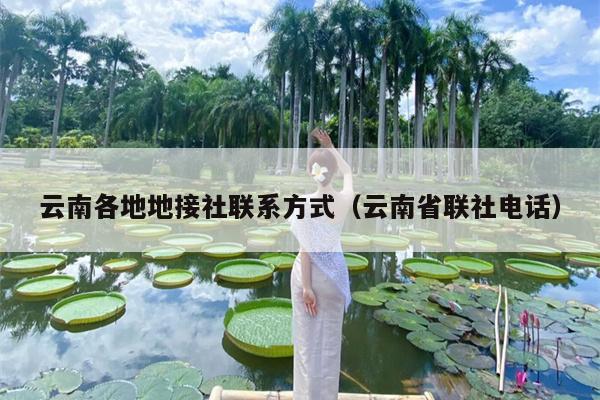 云南各地地接社联系方式（云南省联社电话）