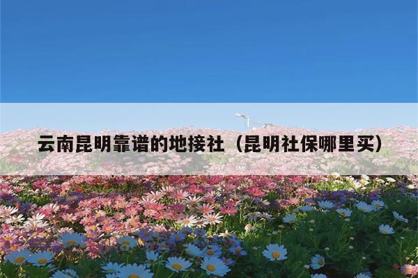 云南昆明靠谱的地接社（昆明社保哪里买）
