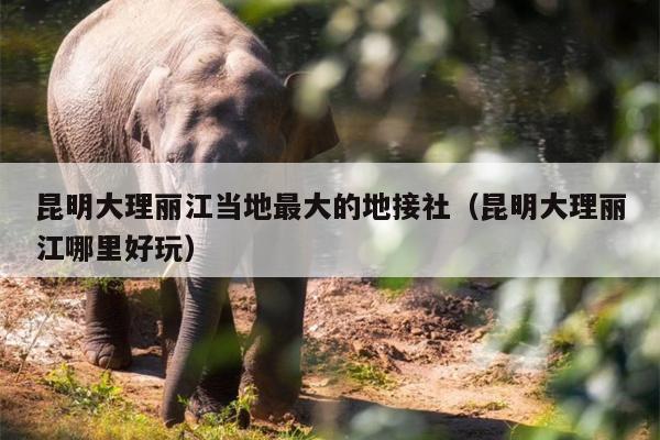 昆明大理丽江当地最大的地接社（昆明大理丽江哪里好玩）