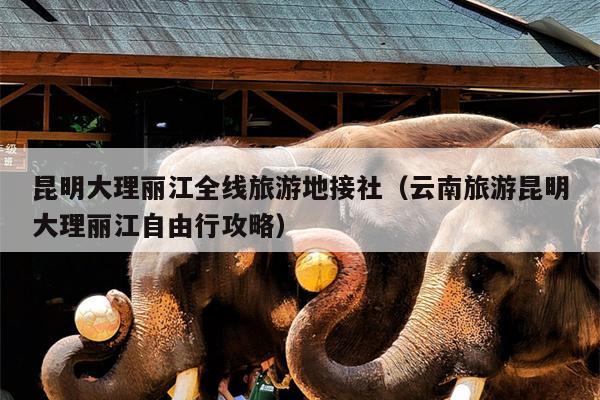 昆明大理丽江全线旅游地接社(云南旅游昆明大理丽江自由行攻略)